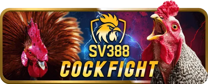 Cá Cược Thể Thao kimsport win